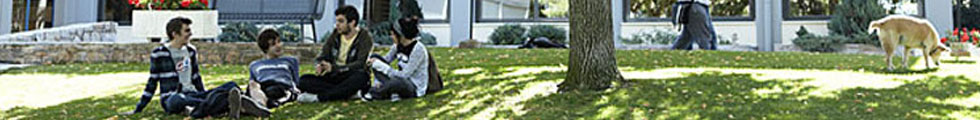 Students sitting on shaded campus lawn