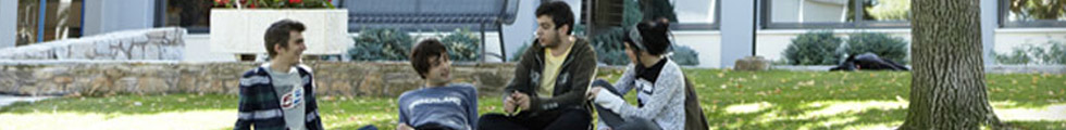 Students sitting on lawn