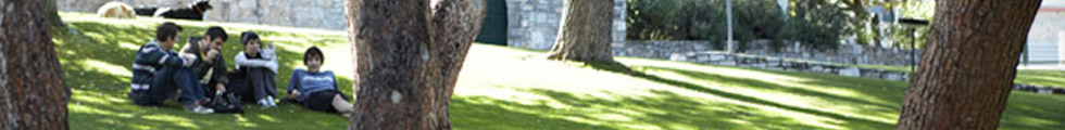 Students sitting on shaded lawn