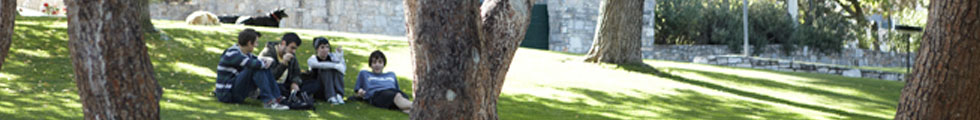 Students sitting on campus lawn