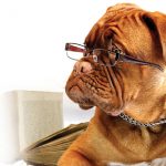 Exam_Anxiety_Info_Session