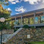 deree-stop-sto-brain-drain-1-600×350