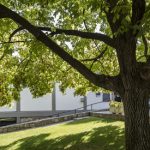 content-scholarships