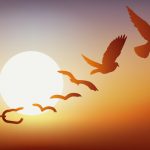 Hope_after_Hopelessness_event_photo_email