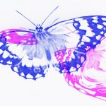 Professor-George-Paxinos-lecture-email-image