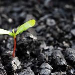 wildfires-2022-news-featured-image-2