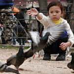 Migrants-and-Refugees-in-Athens-seminar-featured-photo-2