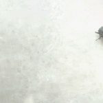 New-sounds-new-music-2023-featured-image-2