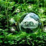 Crystal,Globe,Putting,On,Moss,With,Co2,White,Fog,,Global