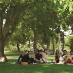 2024 Princeton Review featured image_1