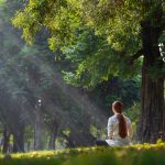 Back,Of,Woman,Relaxingly,Practicing,Meditation,Yoga,In,The,Forest