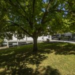 Times Higher Education Impact Ranking