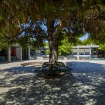 Waer Fountains featured image (1)