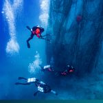 featured-image-temp-02