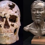 Vietnam Skull featured image