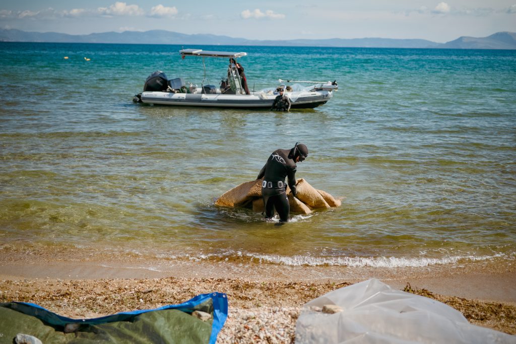 Ocean Stewards photo_5
