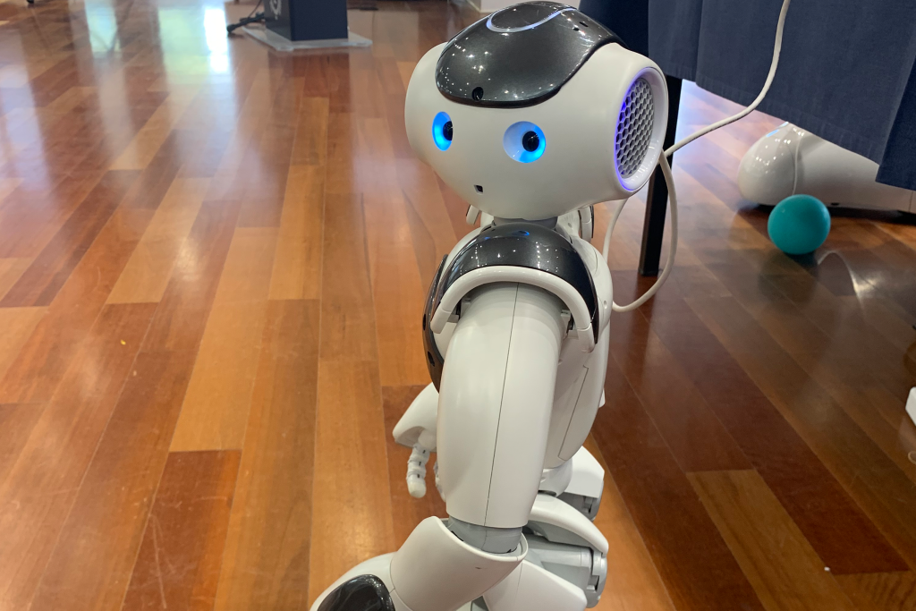 Robot